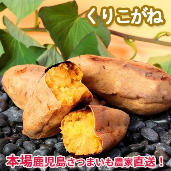 さつまいも 神戸さつまいも三昧（520g）｜国産、手揚げ、ギフト | 手作り国産野菜