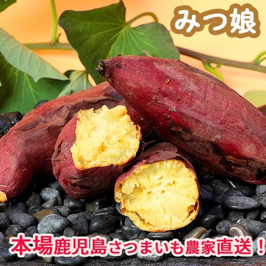 みつ娘 本場鹿児島のさつまいも農家・桜山ファーム