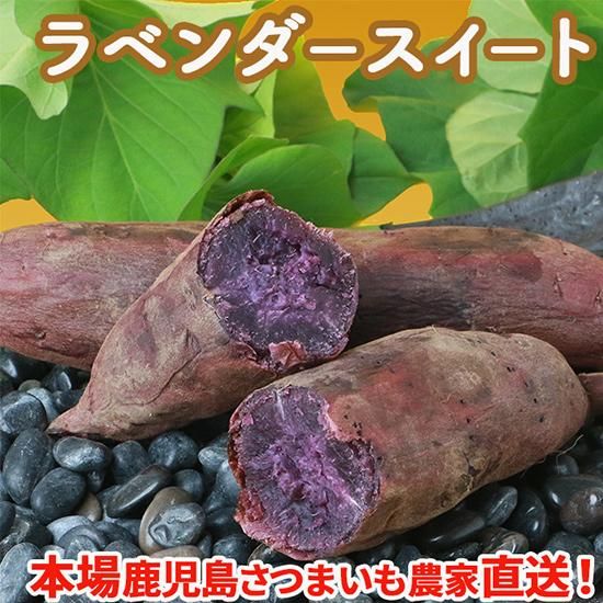 雙成株式会社 パープルスイート 20kg パープルスイート 本場鹿児島のさつまいも農家・桜山ファーム