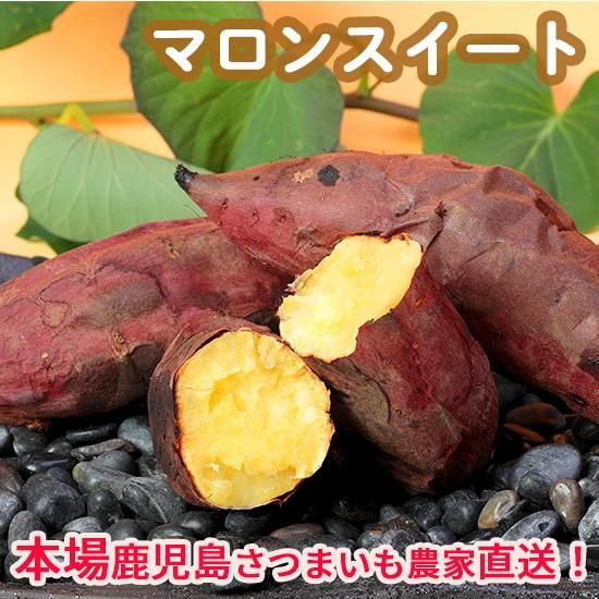 マロンスイート 本場鹿児島のさつまいも農家・桜山ファーム