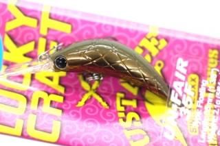 希少アンフェア26F つぶアンUNFAIR クランクベイト 5個セット Lucky Craft JAPAN - Un-Fair
