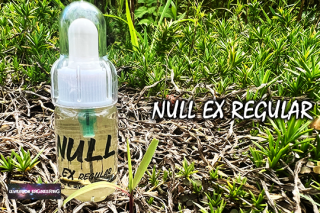 LEVITATION NULL EX REGULAR 10ml