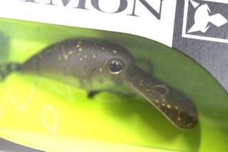 TIMON ӥѥ MR #ɥڥ֥饦