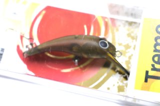 ५ ȥ Tremo35MR  F #BB֥饦