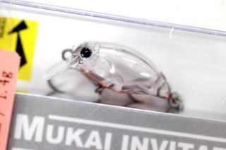 ५ Quick 25SR F #٥꡼饤