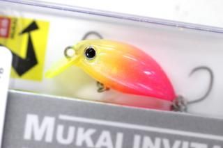 ५ Quick 25SR HFWG #ޥ󥴡