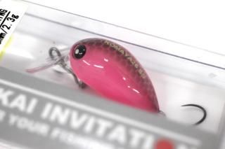 ५ KOMAYA26 SS #G