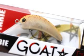 ꥨ ȥ F #١