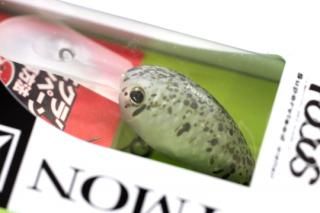 TIMON PaniCra' DDR#⥪꡼