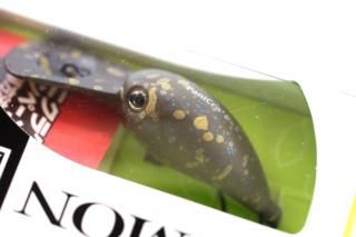 TIMON PaniCra' DRȥ#åȥڥå