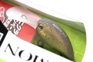 TIMON PaniCra' DRȥ#䥸ܥ