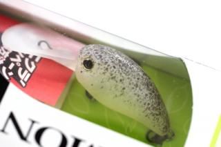 TIMON PaniCra' DRȥ#ɥԥ󥰥