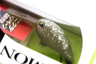 TIMON PaniCra' DRȥ#ɥڥѥ