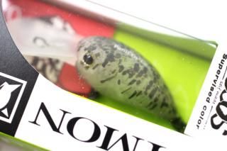 TIMON PaniCra' DRȥ#⥪꡼