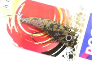 ५ POGO38 WG #˥󥰥֥饦