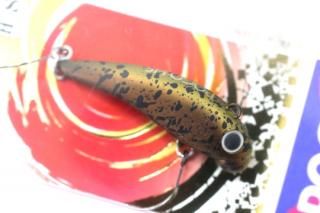 ५ POGO38 WG #åѡ꡼