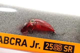 DAIWA ֥Jr.25SS SR#RGåѥΥ