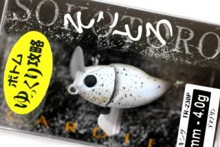 <img class='new_mark_img1' src='https://img.shop-pro.jp/img/new/icons14.gif' style='border:none;display:inline;margin:0px;padding:0px;width:auto;' />SHIMANO ǥ Ȥ 30S #024 ޥץ