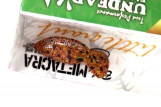 <img class='new_mark_img1' src='https://img.shop-pro.jp/img/new/icons14.gif' style='border:none;display:inline;margin:0px;padding:0px;width:auto;' />ǥåɥեȥ꡼ ٥ӡ᥿24FDR #⥪