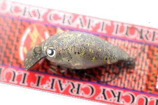 <img class='new_mark_img1' src='https://img.shop-pro.jp/img/new/icons14.gif' style='border:none;display:inline;margin:0px;padding:0px;width:auto;' />ǥե RC Medium CRA-PEA #FOCUS꡼