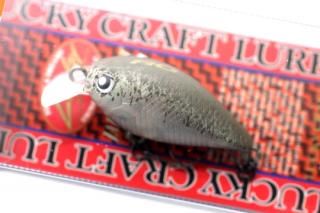 <img class='new_mark_img1' src='https://img.shop-pro.jp/img/new/icons14.gif' style='border:none;display:inline;margin:0px;padding:0px;width:auto;' />ǥե RC Medium CRA-PEA #FOCUSޤ