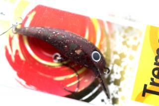 <img class='new_mark_img1' src='https://img.shop-pro.jp/img/new/icons14.gif' style='border:none;display:inline;margin:0px;padding:0px;width:auto;' />५ ȥ Tremo35MR  F #ϥɥFAVڱ㡢˥ϥޤ