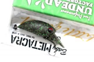 <img class='new_mark_img1' src='https://img.shop-pro.jp/img/new/icons14.gif' style='border:none;display:inline;margin:0px;padding:0px;width:auto;' />ǥåɥեȥ꡼ ٥ӡ᥿24SSDR #Ǳ