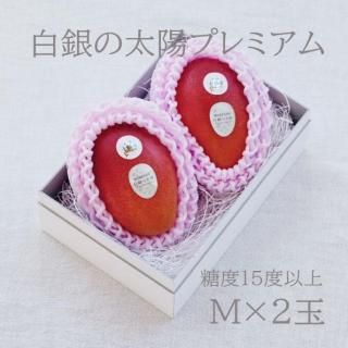 ۥץߥࡡM2̥å