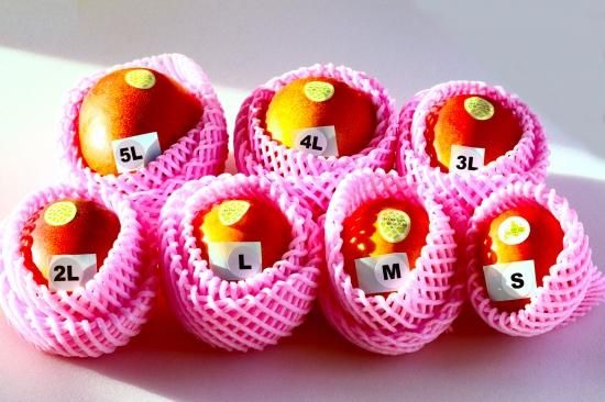 yuki様　ドテラ　ミネラル　マンゴー4本 製品検索 | doTERRA TIMES