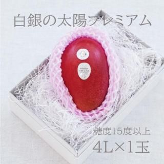 ۥץߥࡡ4L1