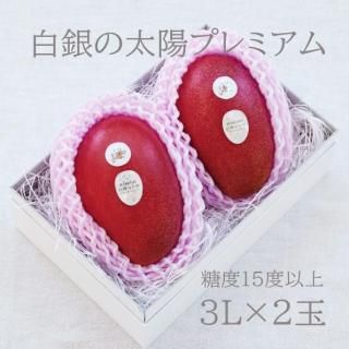 3Lサイズ（450g～509g） - 北海道マンゴー『白銀の太陽』 ノラ