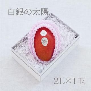 ۡ2L1