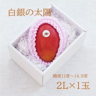 ۡ2L1