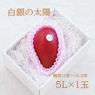 ۡ5L1