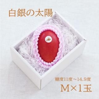 ۡM1̡