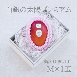 ۥץߥࡡM1