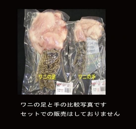 ワニの足 豪州産 Sサイズ1本 約300 500g 冷凍パック ぶっちゃー オンラインストア ワニの足 豪州産 Sサイズ1本 約300 500g 冷凍パック ぶっちゃー オンラインストア