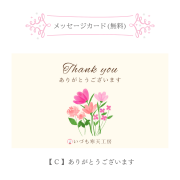 åɡ C  (꤬Ȥޤ)
