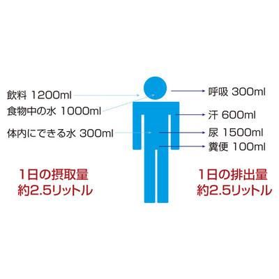 特上美品 アレー333 電子水生成器 AREE 333 | academiadevendasmb.com.br