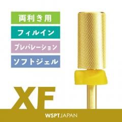 ペルセウスダークゴールドビット ゴールドビット - WSPTジャパン Webショップ