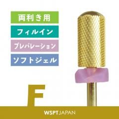 ɥӥå  ࡼȥå  Fξ