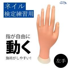 ネイル検定対応 ネイル練習用ハンド トレーニングハンド 右手 ネイル検定対応 ネイル練習用ハンド トレーニングハンド 右手