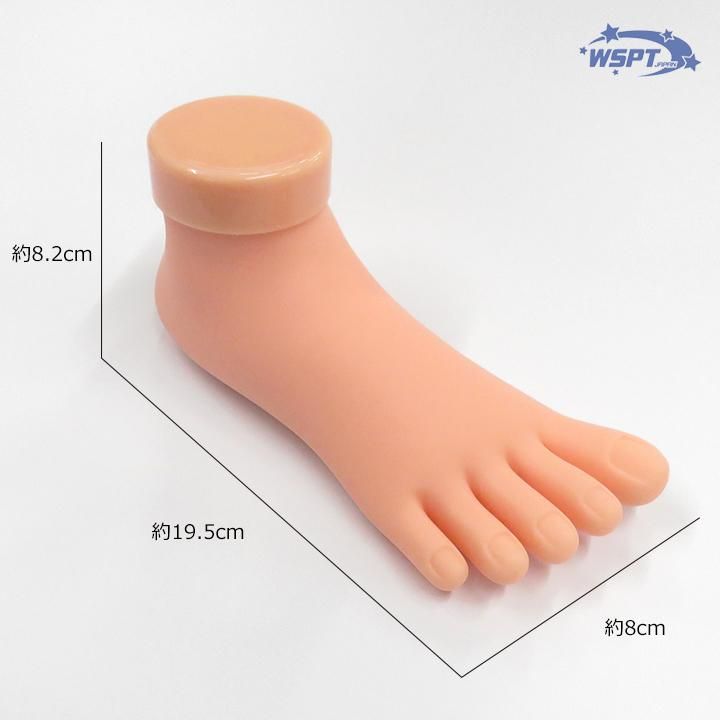 ネイル練習用フット プラクティスフット トレーニングフット