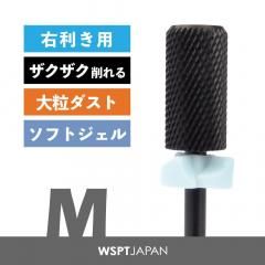 ڤ꤫ᡪ ѥ󥰥ƥ󡡥֥åӥå M