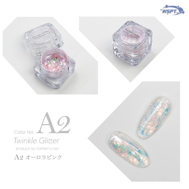 鯨岡先生監修】 クラッシュフレーク シリーズ Twinkle Glitter