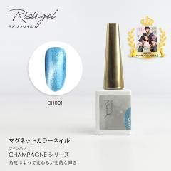 Risingel マグネットジェル