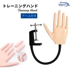 ͥѡȥ졼˥󥰥ϥɥåȡꥢդ