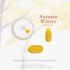 AW005torta ȥ륿०󥿡