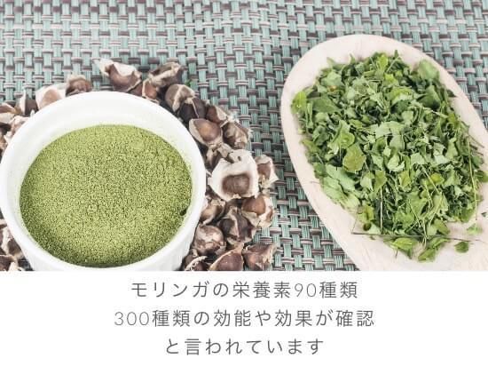 モリンガ粉末　600グラム モリンガパウダー 粉末 国産 農薬不使用 福岡県産 20g - こんさい館