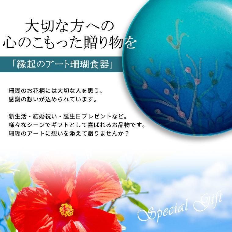 珊瑚の説明